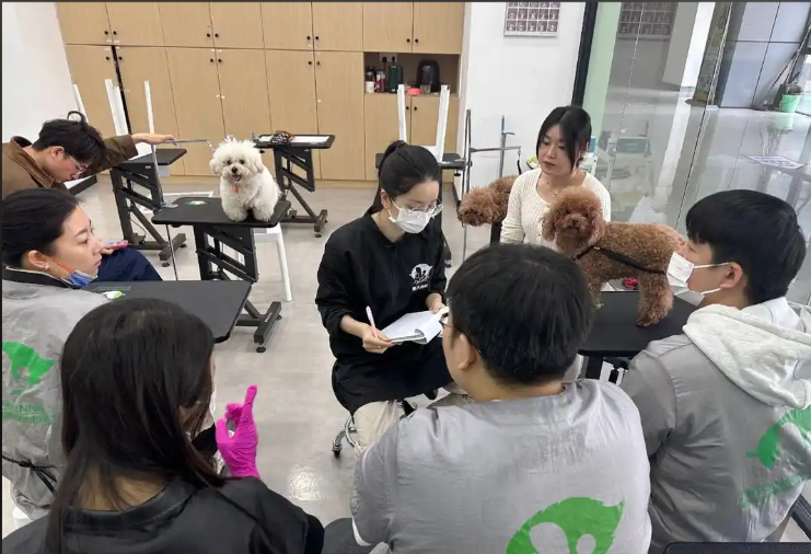 惠州市宠物美容培训学校宠物美容培训学校 - 排名